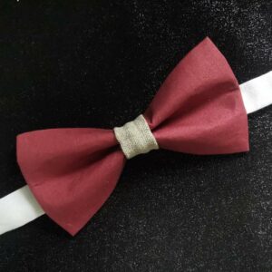 Nœud papillon adulte - lie de vin et lin - fait main - mariage